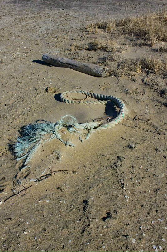 Глеб Петров фотография #8