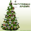 Фотография Синцовой Полины