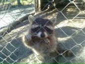 Фотография Филиппова Антона