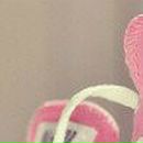 Катюха =) фотография #8 (источник - https://vk.com/id123783235)