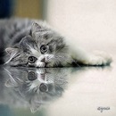 Оксана Твердохліб фотография #2 (источник - https://vk.com/id132174876)