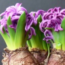 Фотография Маторы Ольги