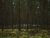 Фотография Константинова Андрея