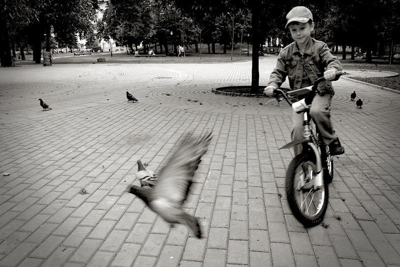 Дискатечный Шарик фотография #4